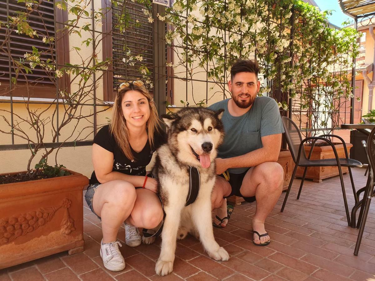 "La Terrazza Di Castiglione" Appartamenti Vacanza 카스틸리오네 델라 페스카이아 외부 사진