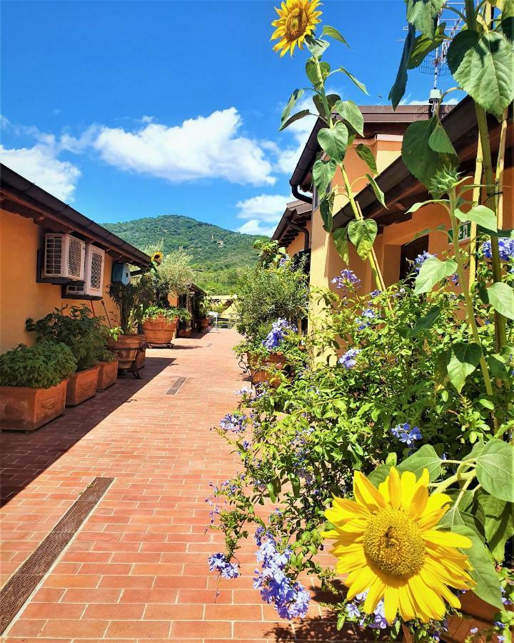 "La Terrazza Di Castiglione" Appartamenti Vacanza 카스틸리오네 델라 페스카이아 외부 사진